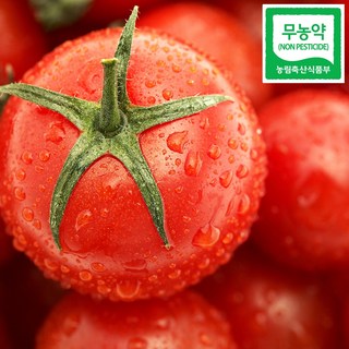 친환경 무농약 완숙 토마토 1kg 3kg 5kg, 1박스, 무농약 완숙토마토 3kg