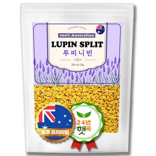 매일새로 호주산 루피니빈 콩, 5개, 1kg