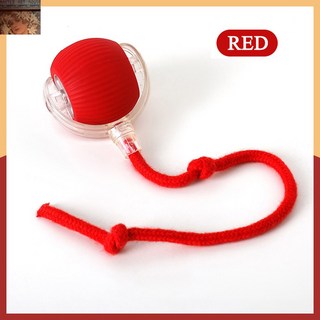 펫 고양이 애견 장난감 대화형 공 파우치 숨바꼭질 새끼 모션 활성화 실내용, 1개, rope red
