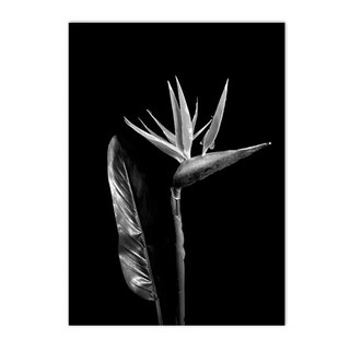 흑백 포스터 밴드 기타 재즈 음악 캔버스 그림 빈티지 아트 프린트 북유럽 벽 사진 침실 홈 장식, B. 30x40cm no frame, 4. 9, 1개