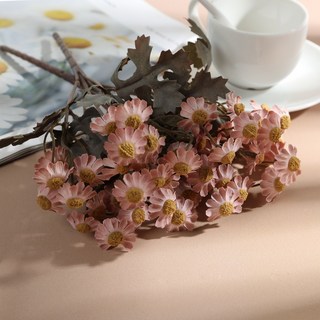 嗨購 秋款復古仿真小雛菊花花束洋甘菊插花荷蘭菊絹花外貿人造花, 4, 1個