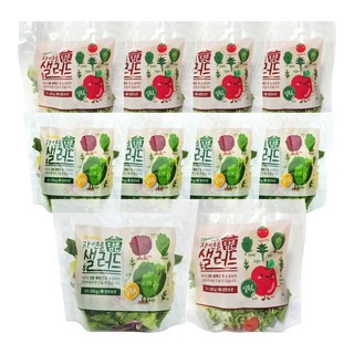 데이밀 자연을담은 샐러드 혼합구성 실속A+실속C 국내산 야채믹스 과채믹스, 10개, 100g