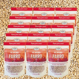 [홈쇼핑] [당일출고] 그레인온 파로, 280g, 15개