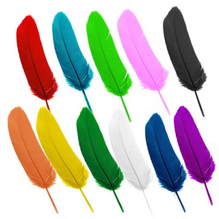거위깃털(대) 칼라(약 50개) 혼합( 약 55개) 깃털 새깃털 칼라깃털 소품만들기 꾸미기재료, 거위깃털(대)-혼합, 1개