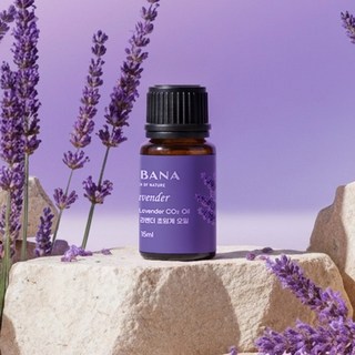 올리바나 아로마테라피 100% 순수 라벤더 아로마 초임계 에센셜 오일 15ml, 1개, 라벤더향