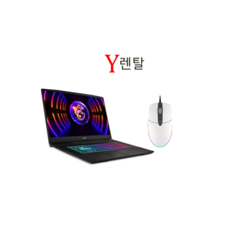 게이밍노트북 17인치 RTX3060 렌탈 단기 대여 렌트 그래픽작업 게임, 게이밍, WIN10 Home, 16GB, 512GB, 코어i7, 10일 렌탈