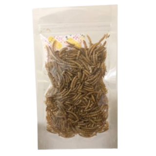 麵包蟲乾 刺蝟/倉鼠/黃金鼠/松鼠/寵物鼠/蜜袋鼯/爬蟲類/蜥蜴/鳥類/觀賞魚/兩棲爬蟲食用點心零食 25g, 1個