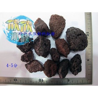欣欣水族 AF9 AF10-印尼火山岩 散裝1公斤 1.2分, 1個