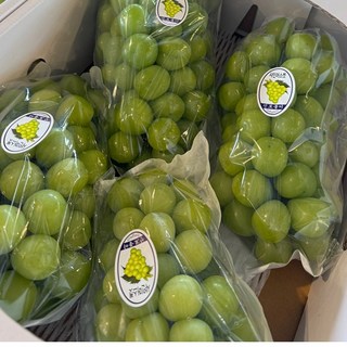 산지직송연구소 국내산 알뜰 가정용 샤인머스캣 1kg 2-3수 아삭한 껍질째 샤인 씨없는 고당도, 1개, (가정용)샤인머스켓1kg2-3수