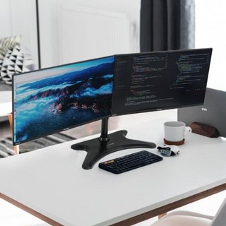 24인치 듀얼 모니터 및 스탠드 구성 이미지