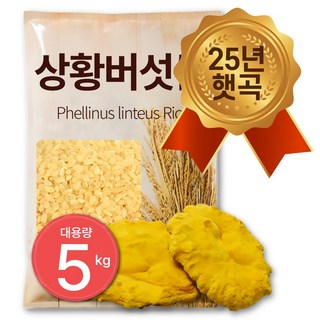 25년 햅쌀 100% 국산 상황버섯쌀 면역관리 베타글루칸 폴리페놀, 1개, 5kg