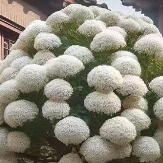 爆 圍裙 家用防水防油夏季薄款廚房工作服可愛洋氣上班圍腰男女圍腰, 單件顏色款式隨不定款, 1個