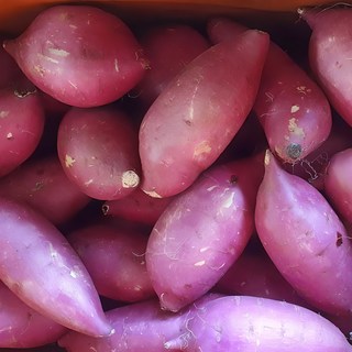 옛날 밤고구마 / 목이 메이는 퍽퍽한 햇 밤고구마 특 사이즈, 밤고구마 특 5kg, 1개