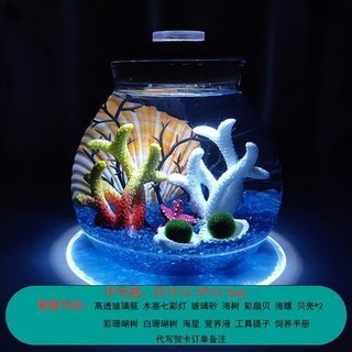 海藻球水培植物微景觀生態瓶苔蘚盆栽玻璃瓶 (包郵), 雙珊瑚款3歲2顆, 1個