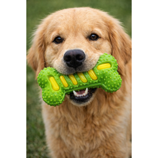 [푸들나무] 스트레스해소 덴탈 이갈이스틱 장난감, 1개, 그린