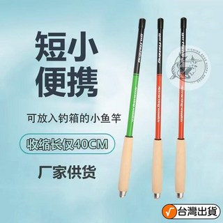小物釣魚竿 短節便攜魚竿 兒童溪流竿鰟鮍馬口微物釣小蝦耐用短伸縮釣竿 mini釣竿 迷你釣竿 釣魚竿, 兩款顏色隨機發