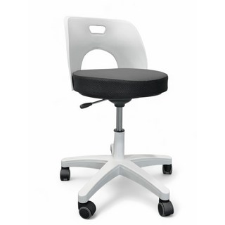 체어킹 회전 스툴 의자 - 진료 미용 네일 카운터 다용도 (기본형), 화이트 스툴, 1개