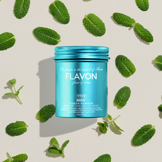 플라본 백태 입냄새 구취제거 민트향 가루치약, 1개