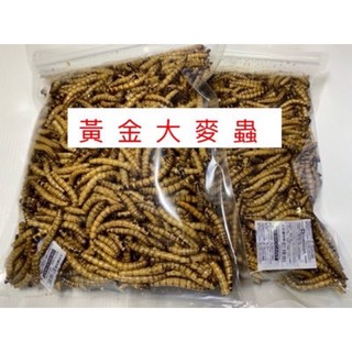 乾燥大麥蟲 麵包蟲乾 乾燥麵包蟲 乾燥南極蝦 南極蝦乾 烏龜飼料 守宮 蜜袋鼯 倉鼠飼料, 1個, 麵包蟲乾150克