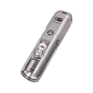 RovyVon A4 Pro 650 EDC 티타늄 열쇠 고리 손전등 매우 밝은 루멘 작은 손전등, 1) 실버, 1개
