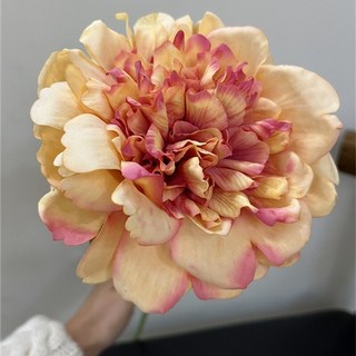 歐式仿真花單枝手感保濕牡丹花家居裝飾插花擺件新娘捧花假花仿真花永生花人造花乾燥花永不凋零拍照道具假花裝飾居家裝飾, 單頭手感牡丹-焦糖色, 1個