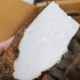 [산마농장] 안동마 참마 생마 산지직송, 1박스, 5kg 혼합