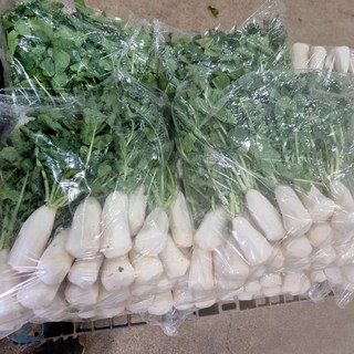 [초록농장] 아삭달큰한 국내산 총각무 초롱무 알타리무, 1개, 깐 총각무 2단 5kg 내외