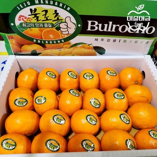 [이슬머금] 제주 프리미엄 불로초 감귤 /당도 선별 하우스 귤/ 1.5kg / 3kg, 1개, 1박스(1.5kg)