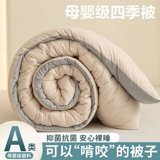 軟暖奶蓋被 可裸睡 四季被 被芯 空調被, 卡其拼淺灰,100*150公分 1公斤