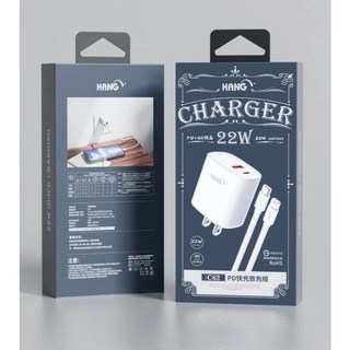 HANG 雙孔快充頭附充電線 22W豆腐頭 PD QC C62 快充 旅充 充電器 電源線 USB BSMI, 白色, 1個