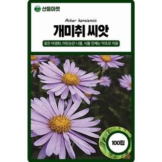 아람종묘 개미취 씨앗 100립 개미취 꽃씨 야생화 약초 종자, 2개
