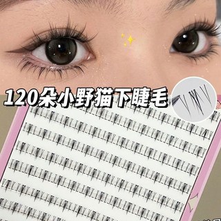 漫畫芭比小野貓下睫毛120朵，懶人三部曲新手分段仿真下假睫毛，快速打造迷人電眼, 1個, 120朵小野猫下睫毛（可用一年）,【无工具】单盒