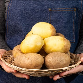 프리미엄 조은제 수미감자, 1개, 10kg(왕특사이즈)