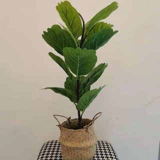 【Sunday】仿真龜背葉盆栽，藤編花籃龜背芋，客廳仿真植物擺件, 60釐米琴葉榕（送籃子）, 1個