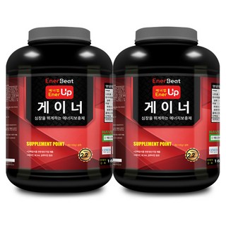 웨이테크 에너업 게이너 프로틴보충제 /벌크업 보충제, 2개, 2.2kg