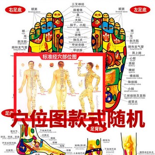 足底按摩器 按摩棒 穴位點穴工具 疏通腳底經絡 三角雀 多功能全身神器, 穴位圖足療棒刮痧點穴圖,養生神物：家用/足療店/養生會所, 1個