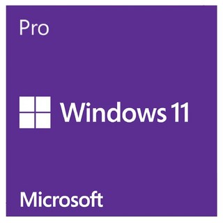 Microsoft 微軟 Windows 11 專業中文版 64位元隨機版, FQC-10523