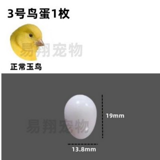 台灣現貨 假蛋 實心假蛋 滿足孵蛋慾望 培養鳥性 培養認真 咬不破 咬蛋鳥 鴿子假蛋 鸚鵡用品 鸚鵡蛋 折衷蛋 鳥蛋 蛋, 1個, 3號 金絲雀