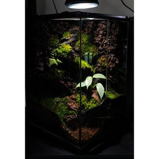 30X30X45 비바리움 완성품 (1), 1개