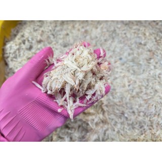 서해 인천 동백하 생새우 김장용 생물 또는 급냉, 1개, 3kg