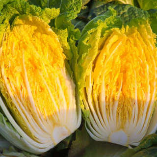 충북 괴산 절임배추 절인배추 국내산 천일염, 12월06일(토) 출발, 1박스, 30kg