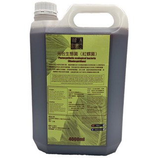 龍爵士水族 光合生態菌 (紅螺菌) 水族箱水質淨化劑 有機物分解 硫化氫去除 抑制病菌 1L 2L 4L SGS檢驗合格, 1個, 4000ml