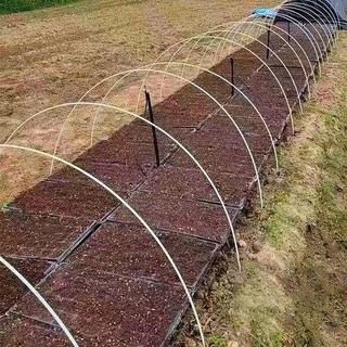 (FRP 활대) 해충방지망 한랭사 배추 한냉사용 활대, 2m, 10개