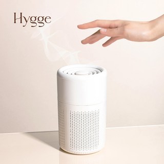 타임특가 휘게 스마트 공기청정기