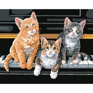 台灣小畫家 40*50cm含框 DIY數字油畫 鋼琴貓裝飾畫, 1個