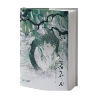 君不見 驚竹嬌著《你一句春不晚，我就到了真江南》S部青春詩集：少年意氣與浪漫情懷現當代文學簡體書籍, 驚竹嬌