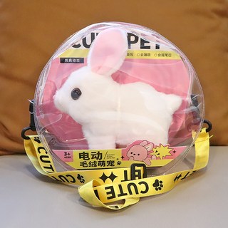 【台灣出貨】兒童電動小兔子 毛絨玩具 女孩寵物 電動玩偶寵物 小白兔 玩偶公仔 女生玩具 創意電動玩具 生日禮物 禮物, 1個, 毛絨電動跳跳兔+繩子,送電池+螺絲刀
