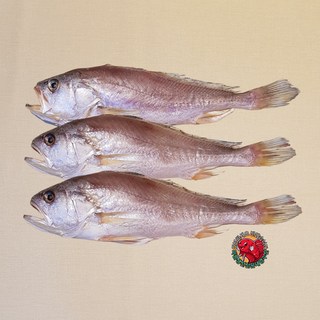 반건조생선 제수용생선 선물용 셋트 침조기 3마리, 침조기39cm 3마리, 1개