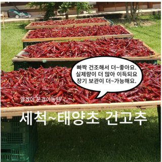 2025년산 햇 태양초 꼭지제거 세척건고추 6근(3kg 1근당 500g), 1개, 6근(3kg)