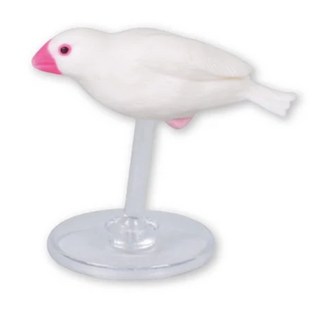 文鳥的日常生活 P4 Tarlin 扭蛋 蛋樂寶, 1個, 白文鳥 波状飛行